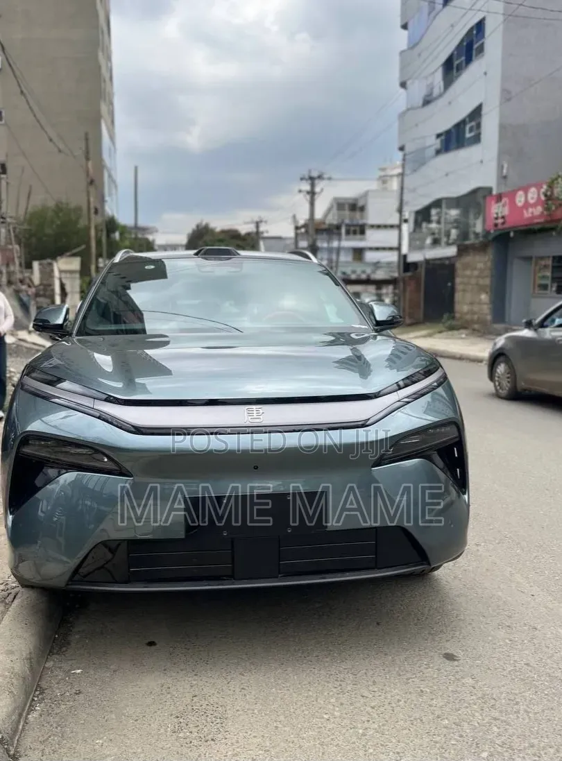 New BYD Tang EV 2025 Gray