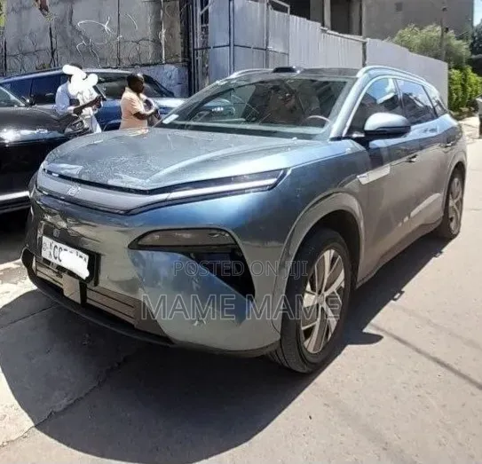 New BYD Tang EV 2025 Gray