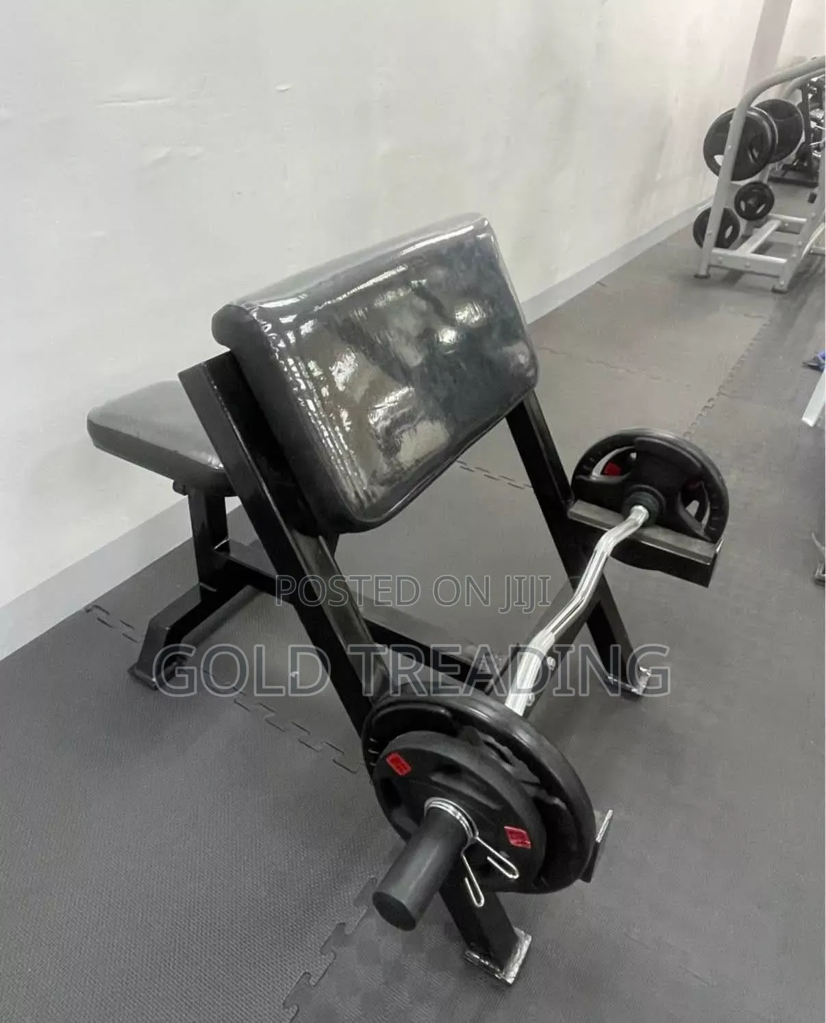 ባይሴፕስ ከርል Biceps Curl