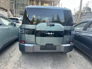 New BYD Leopard 7 2025 Gray