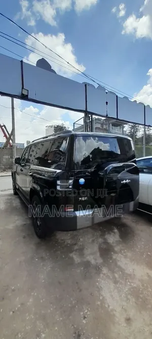 New BYD Leopard 7 2025 Black