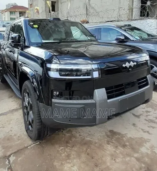 New BYD Leopard 7 2025 Black