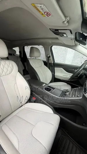 Hyundai Santa Fe 2022 Gray