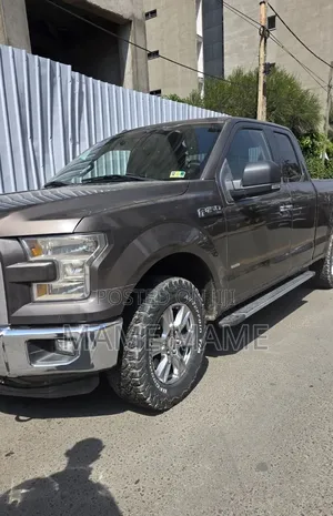 Ford F-150 2015 Gray