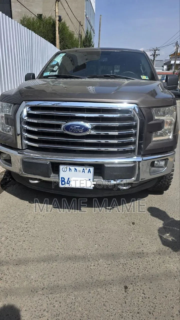 Ford F-150 2015 Gray