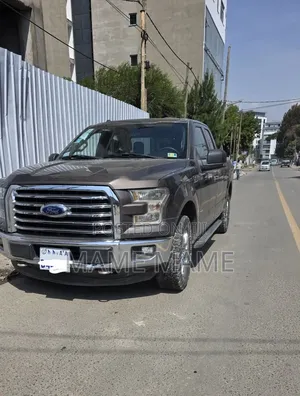 Ford F-150 2015 Gray