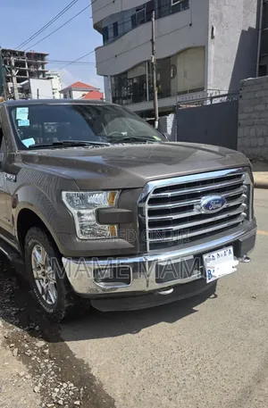 Ford F-150 2015 Gray