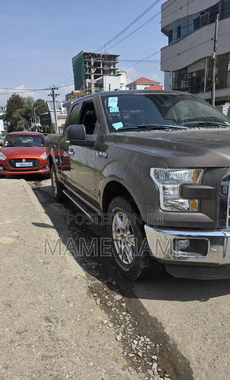 Ford F-150 2015 Gray