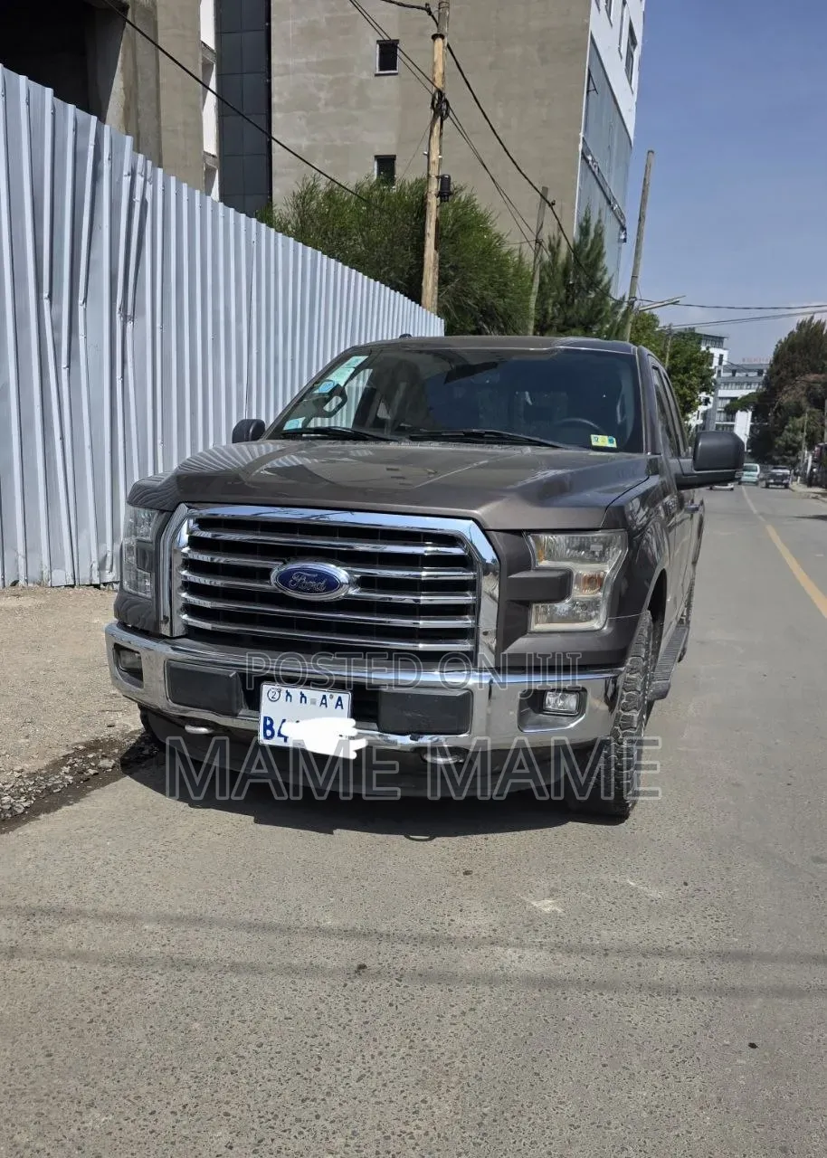 Ford F-150 2015 Gray