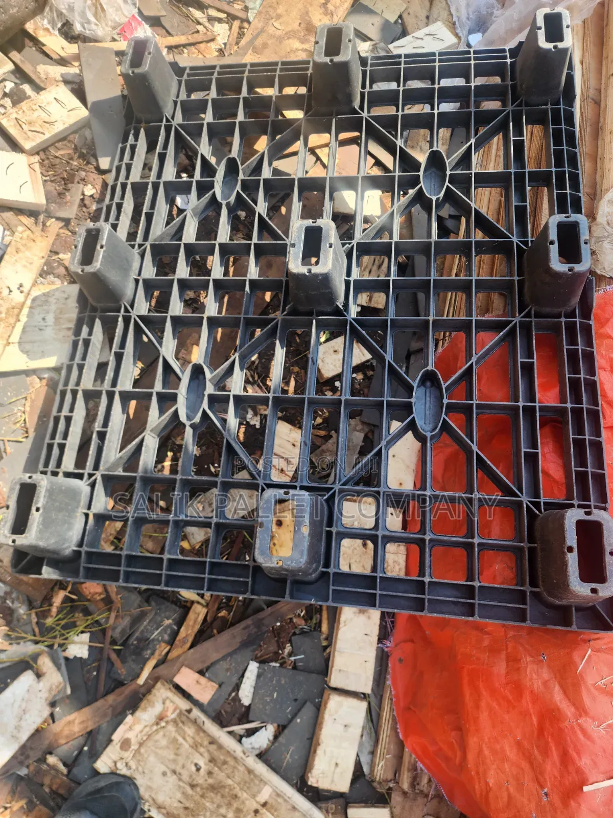 Export Pallets