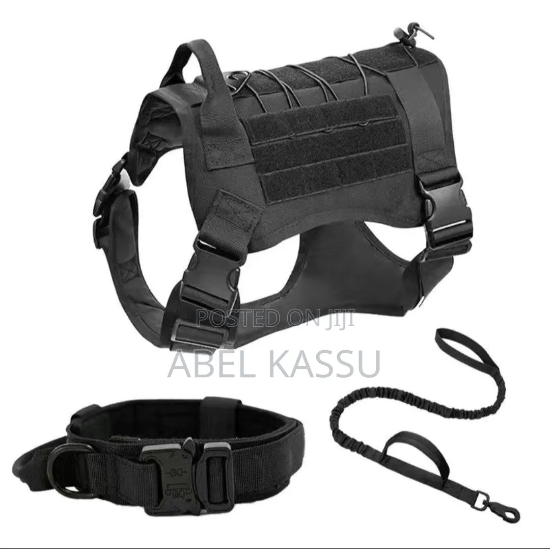 Pet Harness+Leashe +Collar