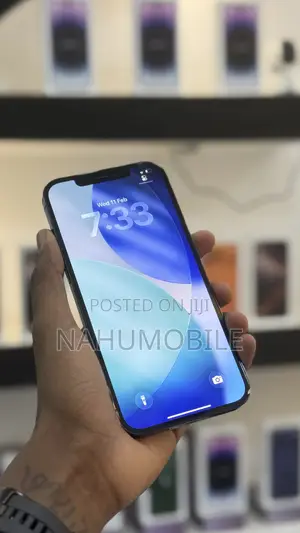 Apple iPhone 12 Pro Max 256 GB Blue