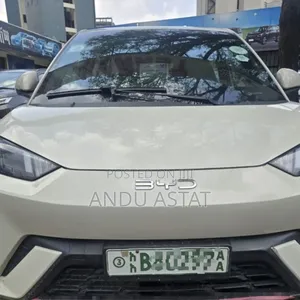 BYD Seagull 2024 Gray