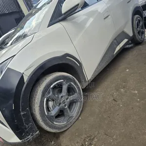 BYD Seagull 2024 Gray