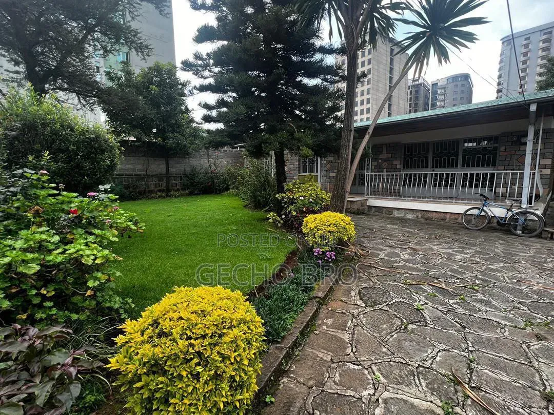700 ካሬ በ45 ሚሊዬን ወሰን አካባቢ አዋጭ ነዉ ለትረፍ ይሆናል ፈጥነዉ የራሰዎ ያድረጉት