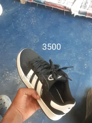 ባሉበት ቦታ እናደርሳለን