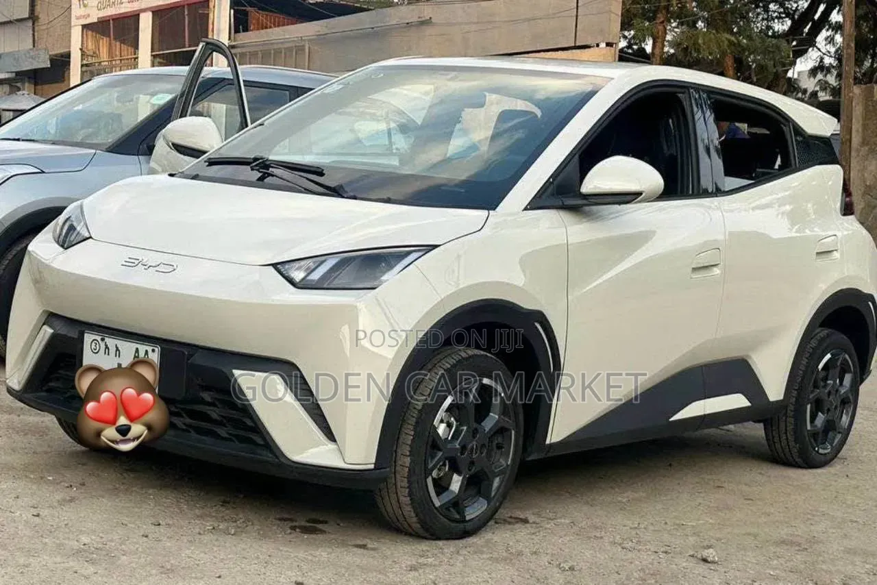 BYD Seagull 2025 White