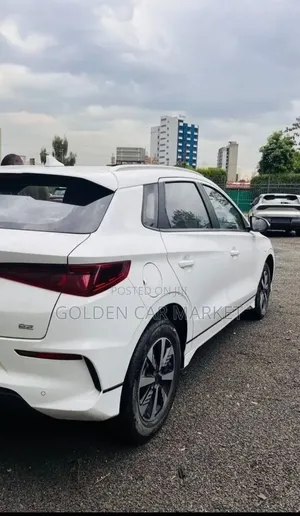 BYD E2 43 kWh 94 hp FWD 2024 White