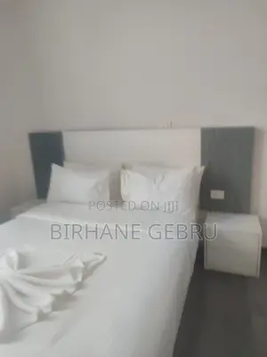 Furnished 1bdrm Apartment in Luxury Studio, Bole for rent
