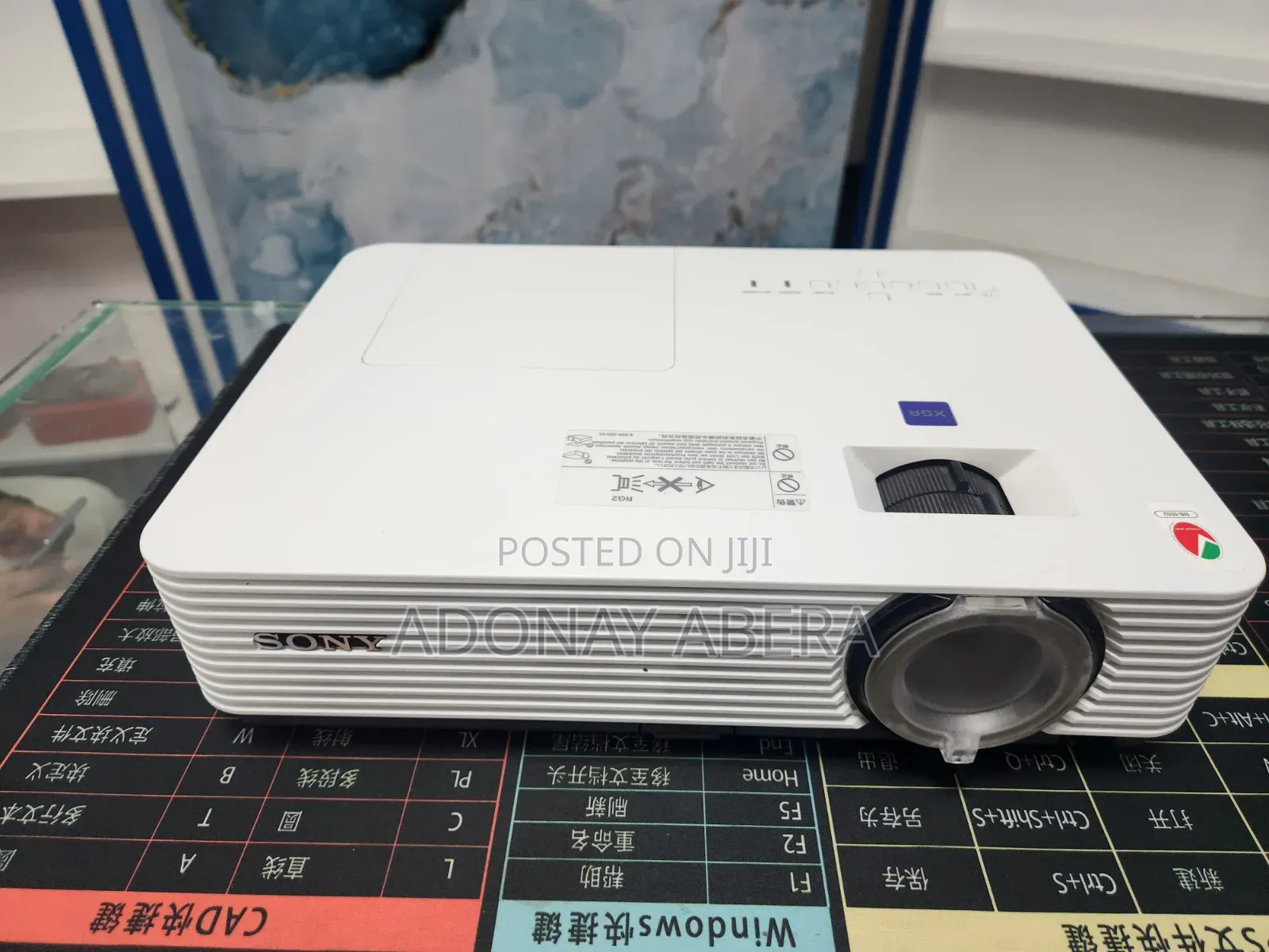 Sony Projector