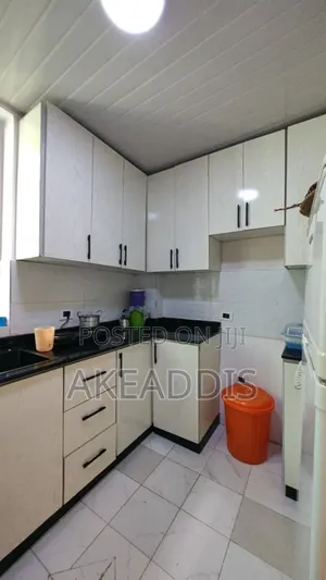 Furnished 3bdrm Condo in Bole Ayat for sale