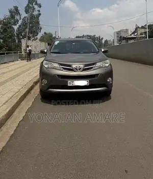 Toyota RAV4 2014 Brown