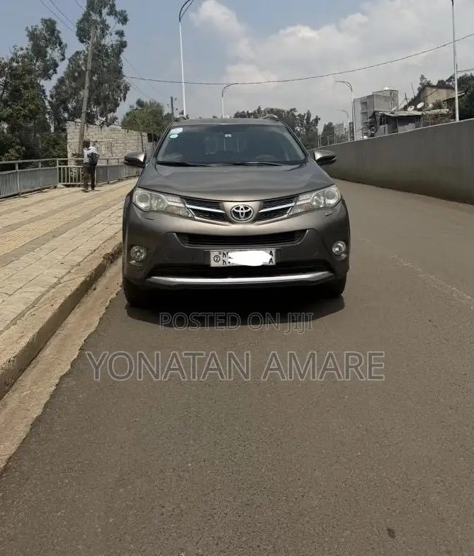 Toyota RAV4 2014 Brown