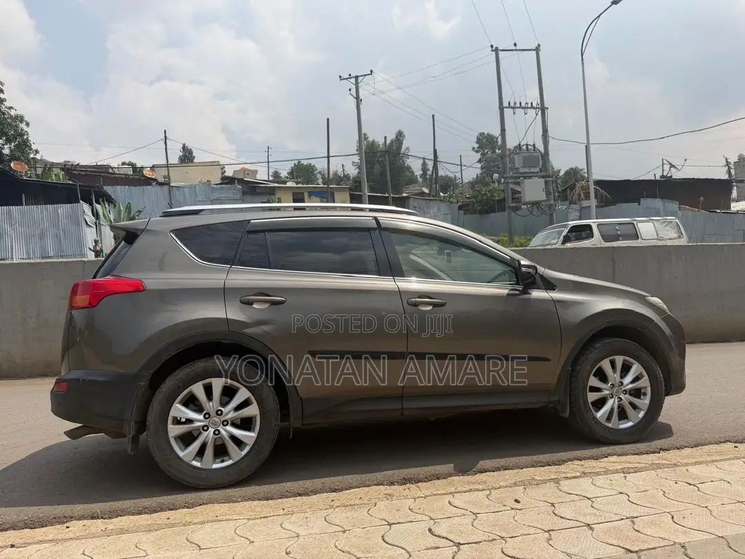 Toyota RAV4 2014 Brown