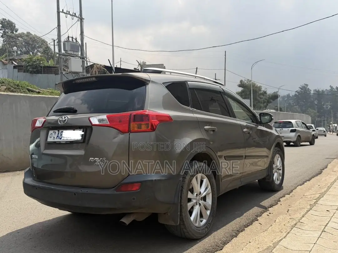 Toyota RAV4 2014 Brown