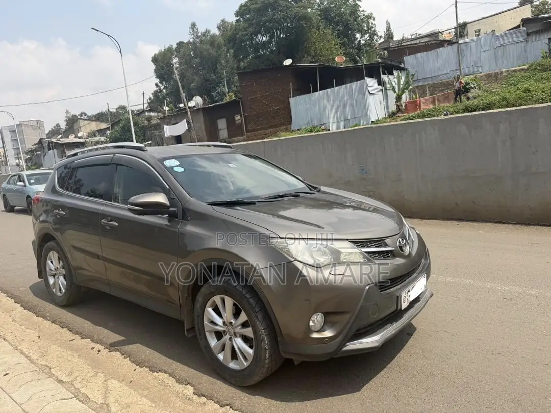 Toyota RAV4 2014 Brown