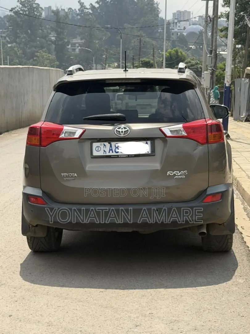 Toyota RAV4 2014 Brown