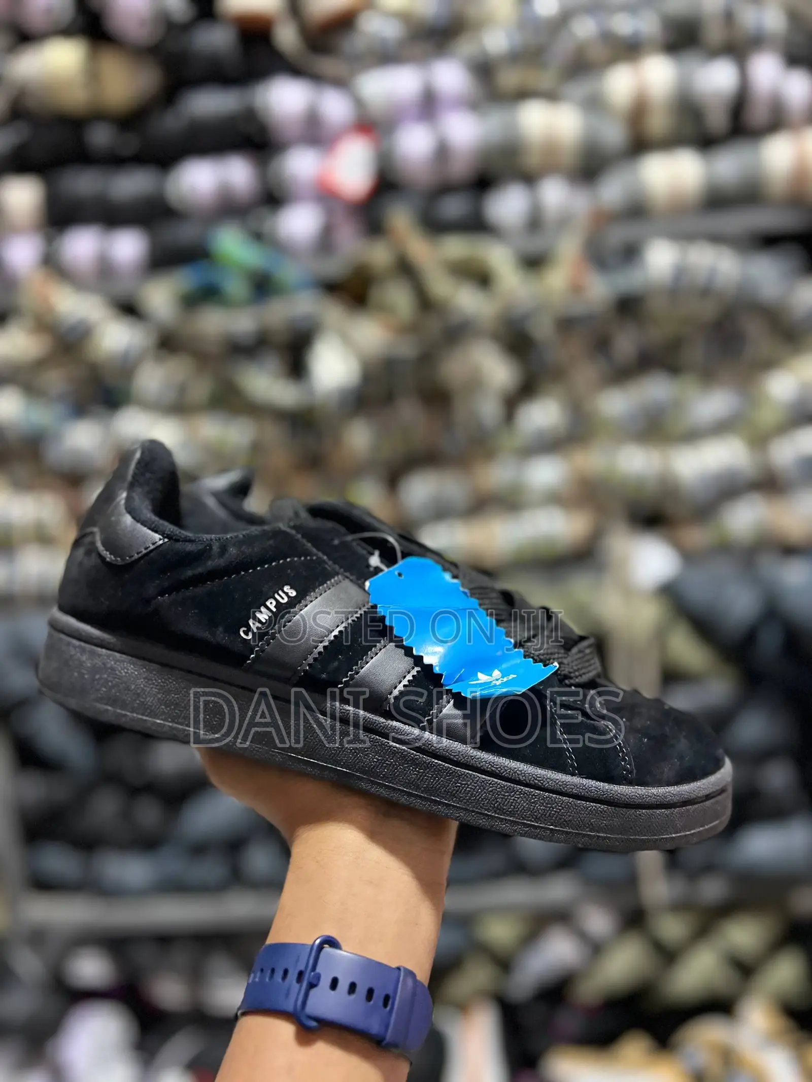 Campus Adidas
