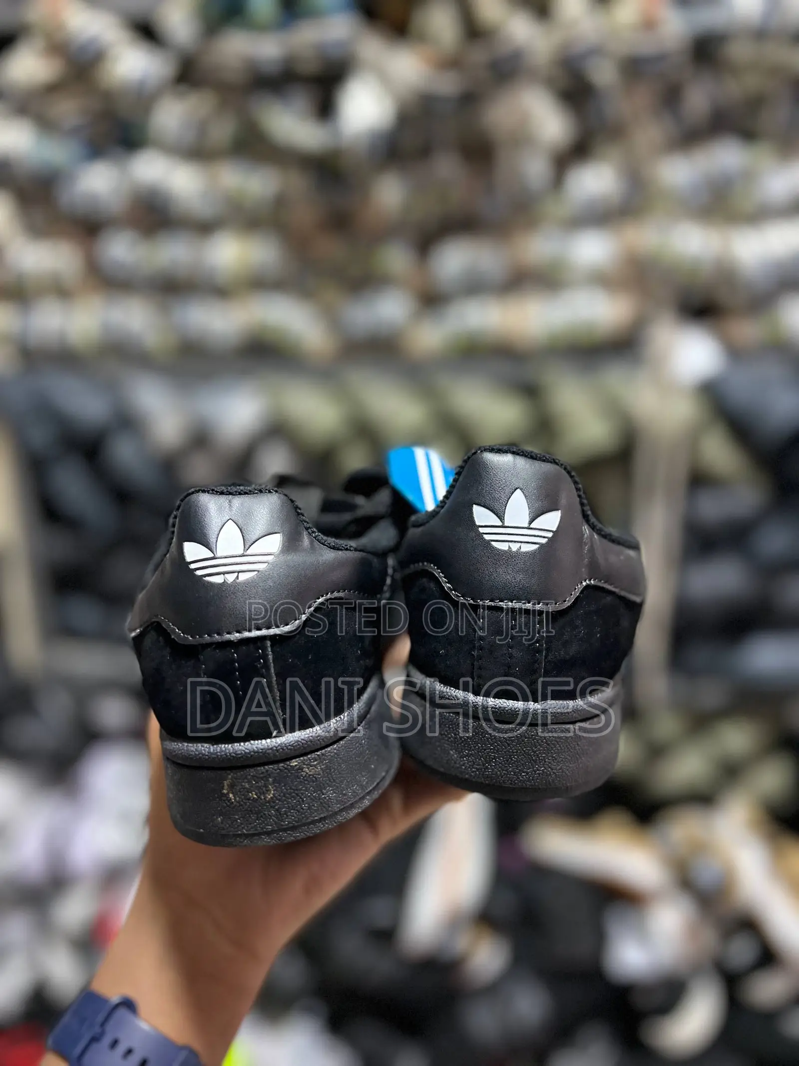Campus Adidas