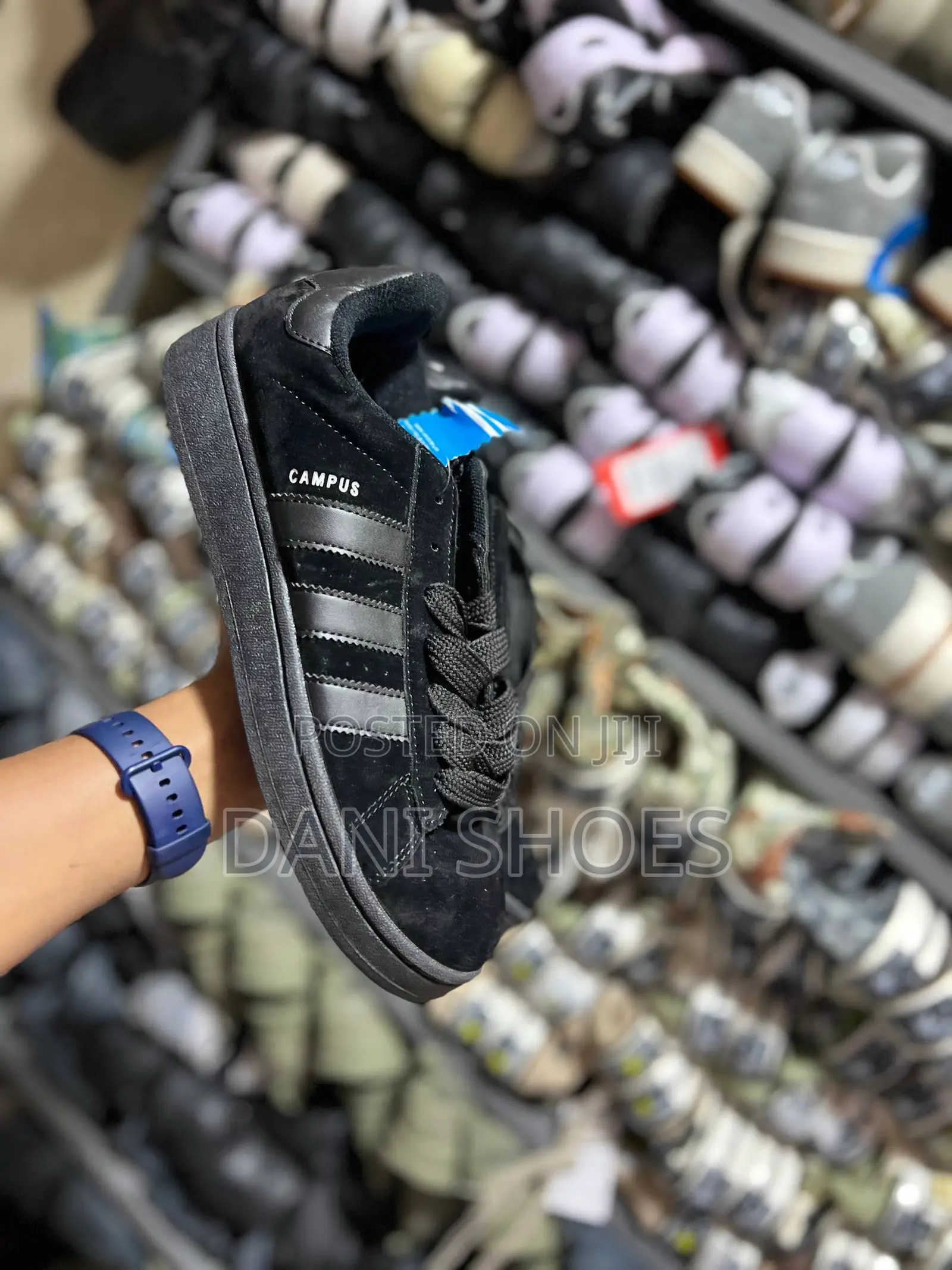 Campus Adidas