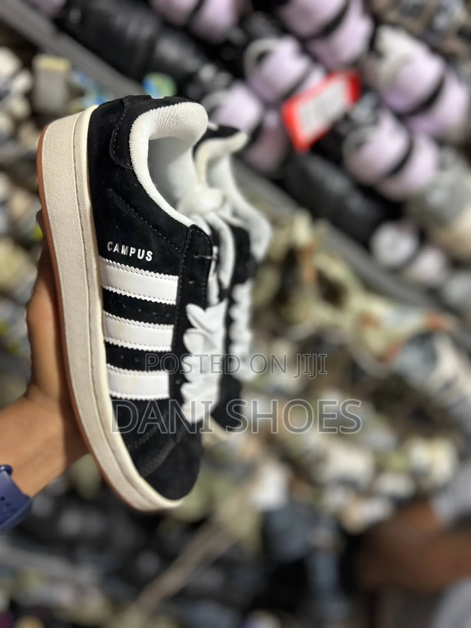 Campus Adidas