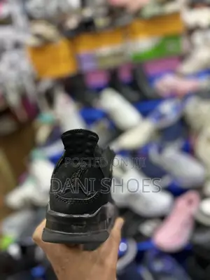 Jordan 4 Shoes
