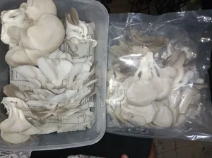Oyster Mushroom