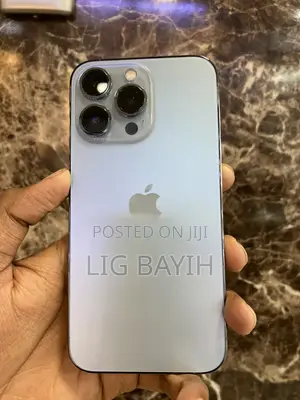 Apple iPhone 13 Pro 256 GB Silver