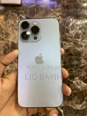 Apple iPhone 13 Pro 256 GB Silver