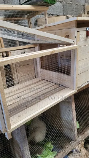 Animal Cage