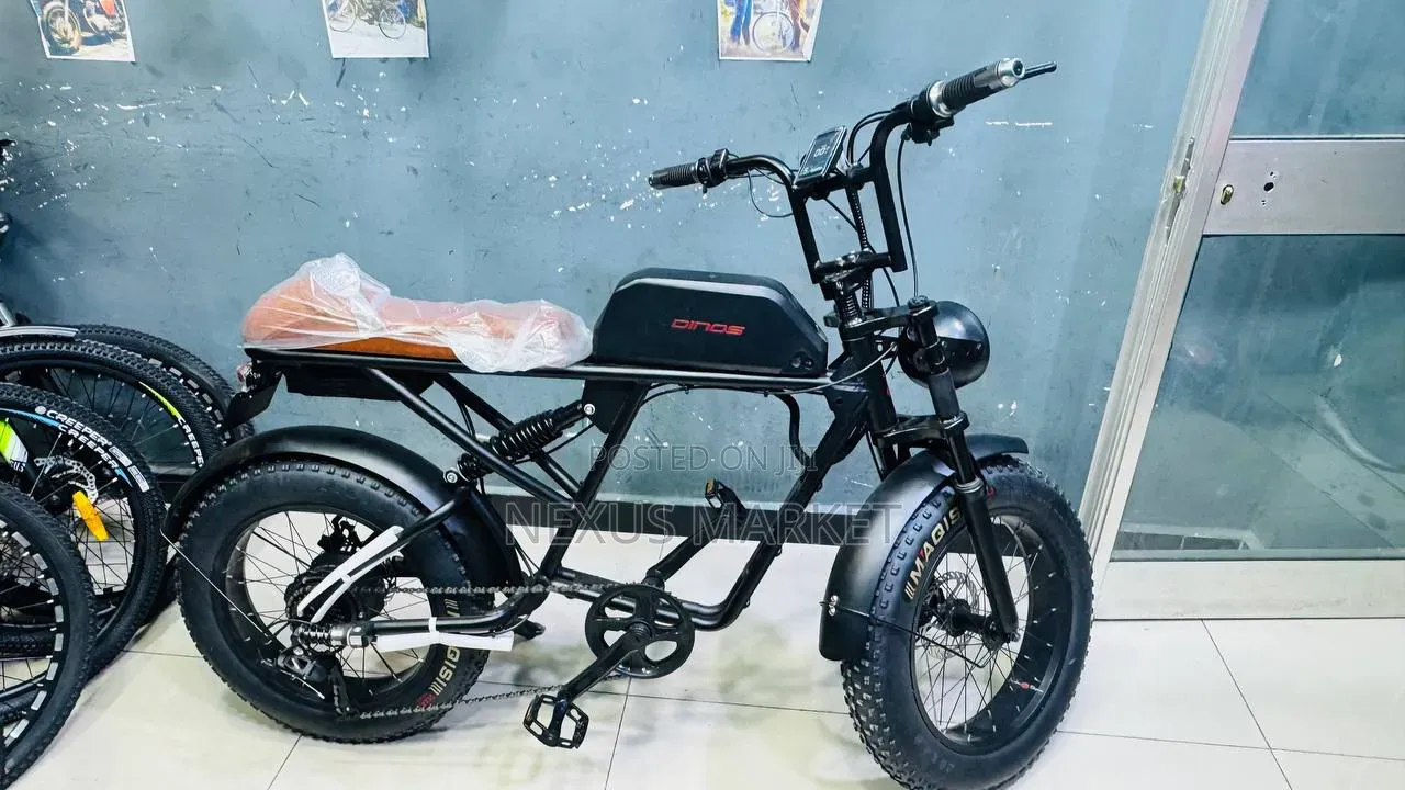 Luxury E-Bike New