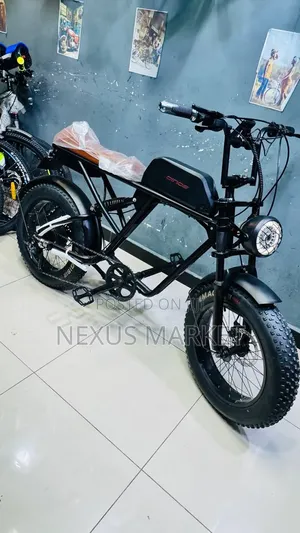 Luxury E-Bike New