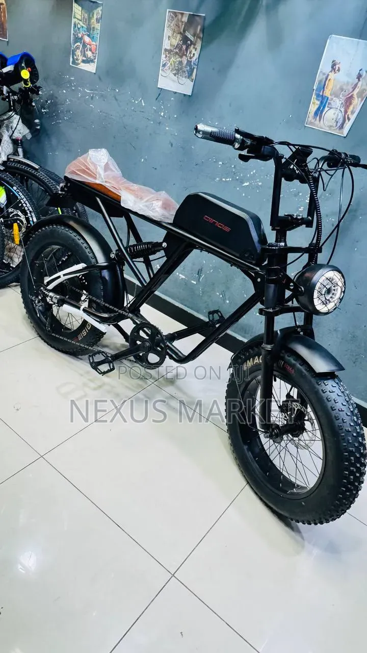 Luxury E-Bike New