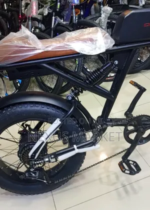 Luxury E-Bike New