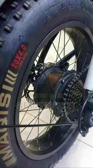 Luxury E-Bike New