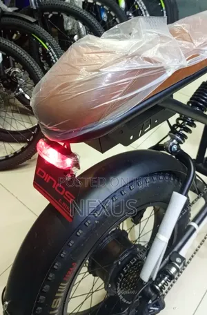 E-Bike Fat Tries