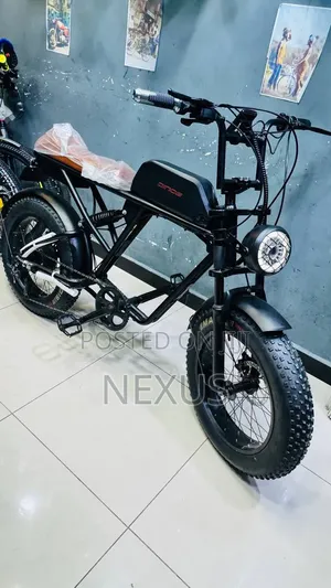 E-Bike Fat Tries