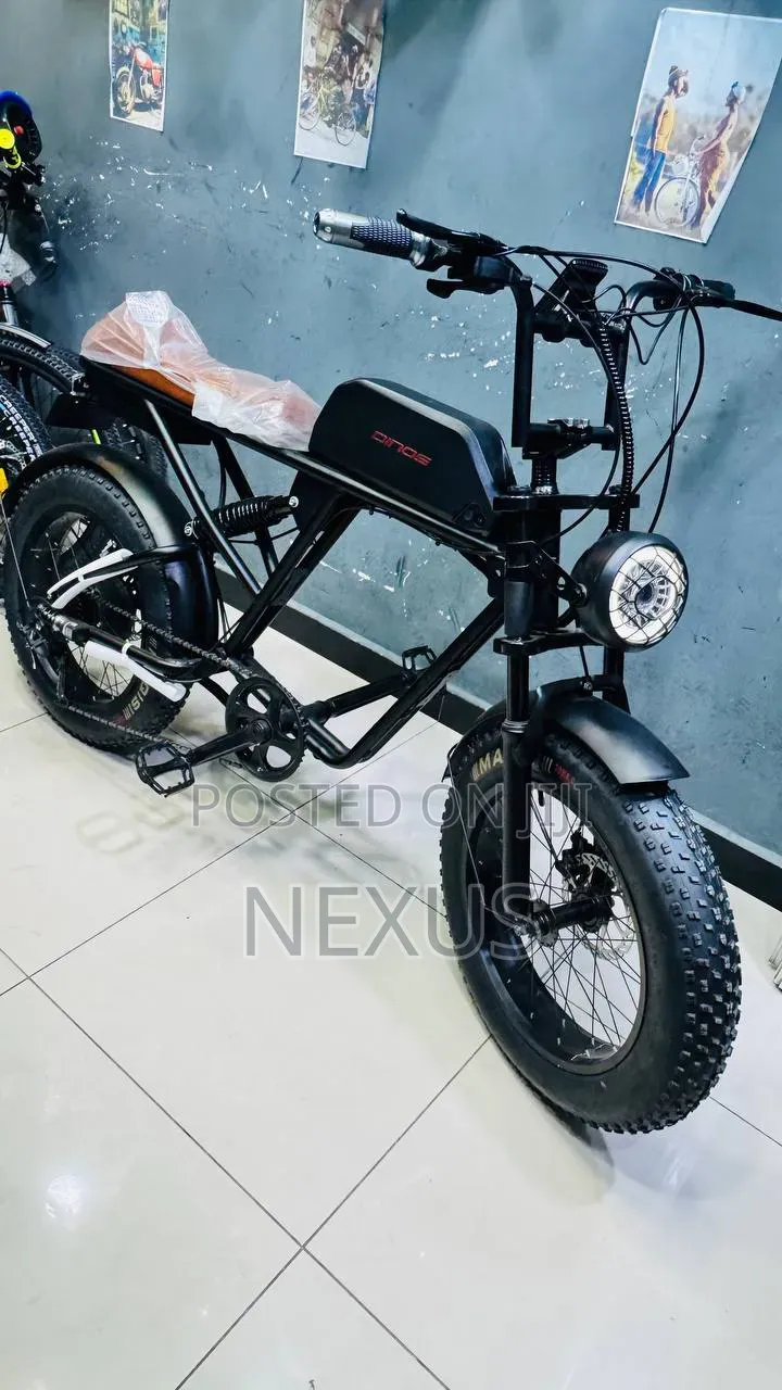E-Bike Fat Tries