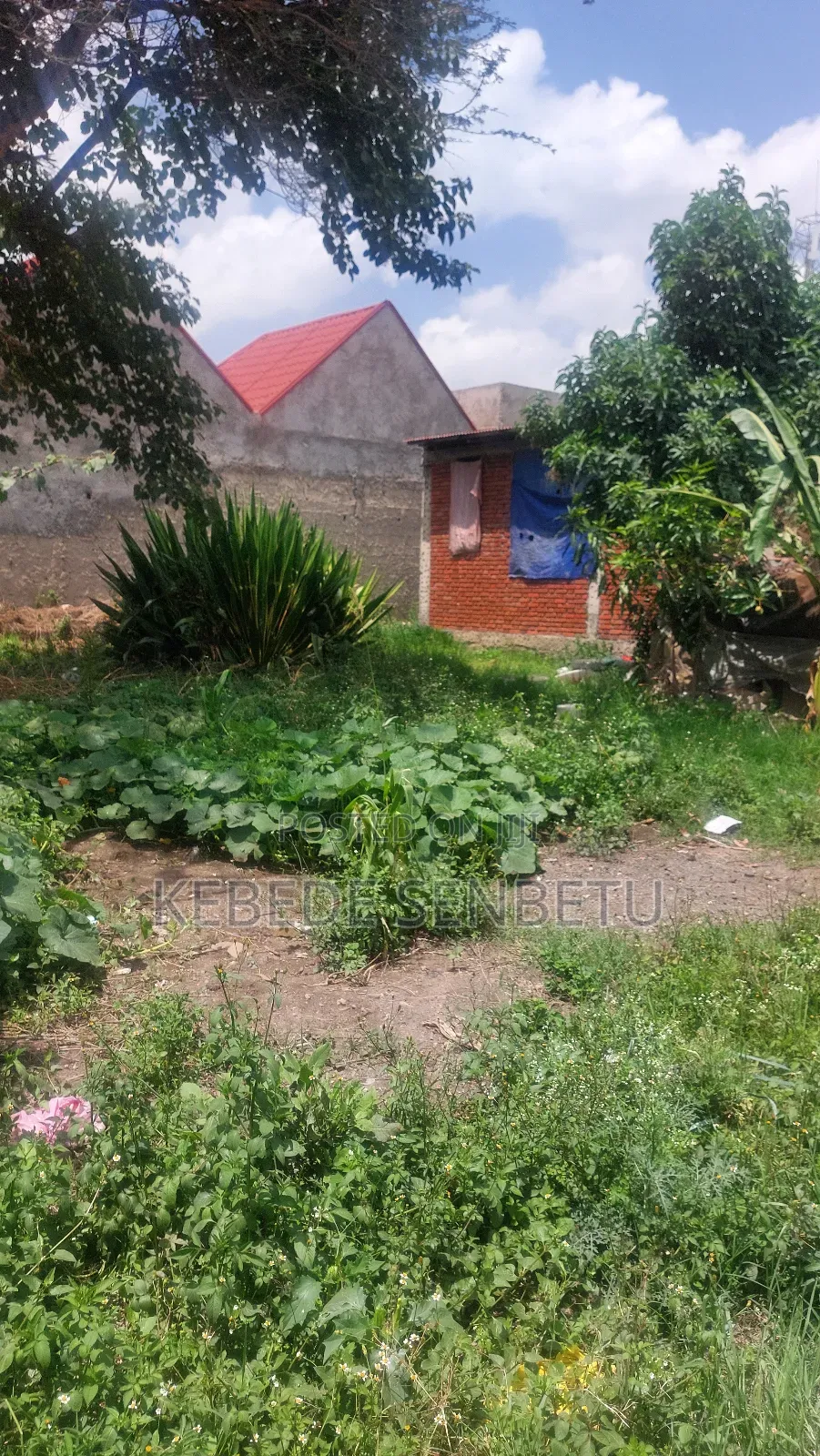 3bdrm House in Oromia, East Shewa for sale
