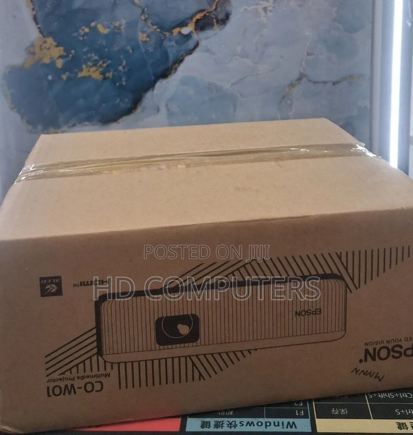 Epson Projecter W01